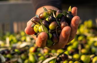 Boutique Hotel Villa Monty Banks - Foto 36