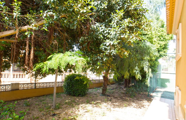 Santanatenis - Foto 33