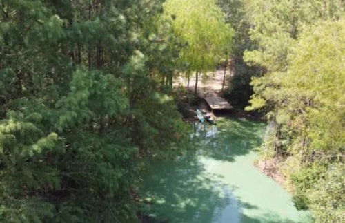 Waterfront Container House In A Magical Forest! - Foto 23