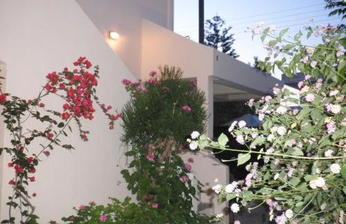 Aigialis Apartments & Studios - Foto 64