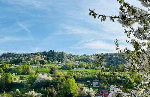 Domki Pienińskie Tarasy - Photo 27