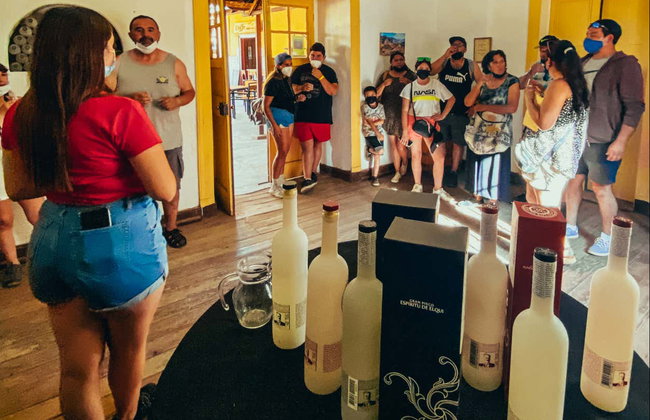 Alto Elqui Pisco Tour - Foto 9