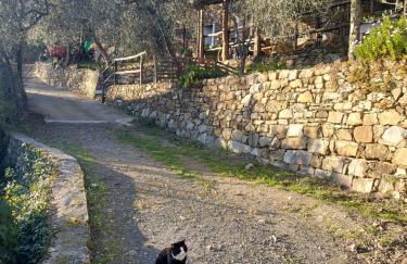 Nostro Rifugio - Foto 12