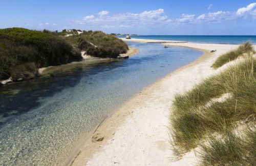 La Casetta di via Piave - Foto 3