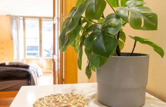 Ático Duplex en Calle Mayor - Foto 43