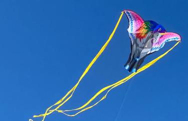 MET Oliva Nova Playa chalet grande con jardín MET a 5 minutos y a 3 de la playa - Photo 23