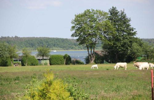 Ferienwohnung am alten Gutshaus - Foto 10