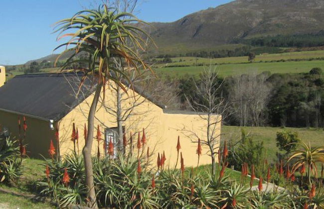 Swaynekloof Farm - Photo 57