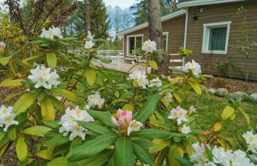 Sosnowy Azyl - Foto 25