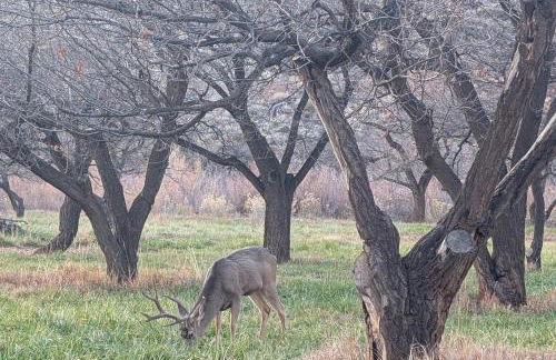 Luxury Modern 4 Bedroom House Near Capitol Reef NP - Foto 50