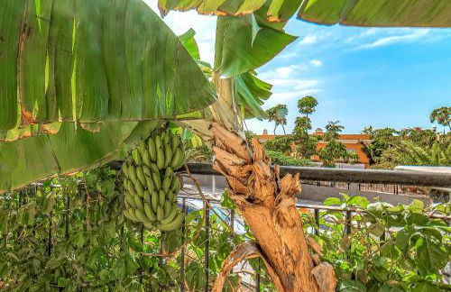 Ocean view Family Apartment in Playa La Arena - Foto 21