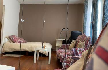 Studio miroir-arrivée autonome-animal ok - Photo 8