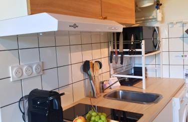 Proche métro B et Hopital Lyon sud - Foto 9