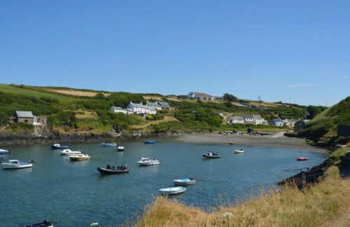 1 Bed in Porthgain 61170 - Foto 11