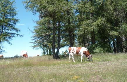 Résidence Les Ecrins - Foto 25