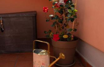 Casa Gioia - terrazza panoramica, bici e parcheggio gratuito - Photo 27