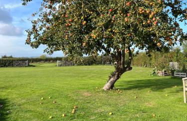 Bluebell Farm - Foto 80