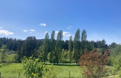 Pet Friendly, Hot Tub, Pizza Oven, EV Car, Golfing - Foto 22