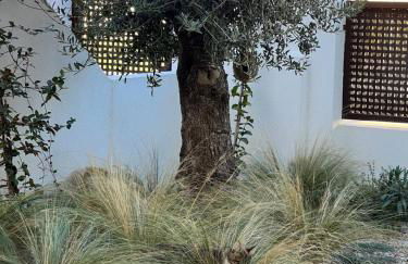 Apartment Lemon Tree - Foto 29