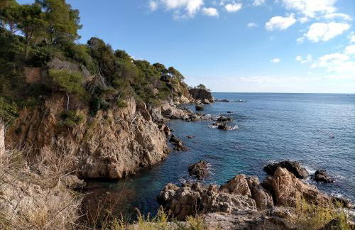 Calella golfet sobremar - Foto 32