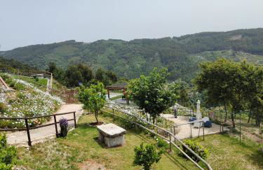 A Casa da Japoneira CB - Foto 52