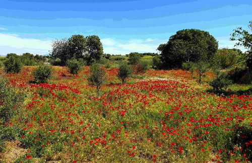 Repanidi Apartment D / Ρεπανίδι Διαμέρισμα Δ - Foto 59