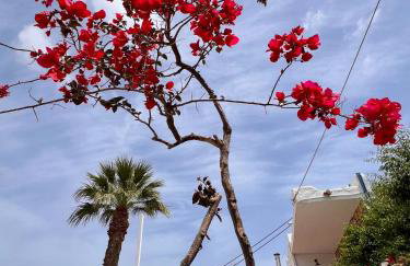 Gioma Garden Villas - Foto 66