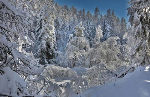La Mélézière-Ecrin Appartement 4 étoiles 120m2 6 personnes plein sud - Foto 25