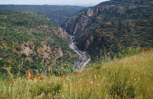 Casa da Cisterna - Foto 65