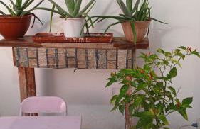 LINDO APTO CENTRAL, QUASE ao LADO DO HOTEL NACIONAL CORUMBÁ -MS - Photo 5