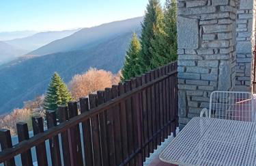 Panoramic Eagle - Photo 1