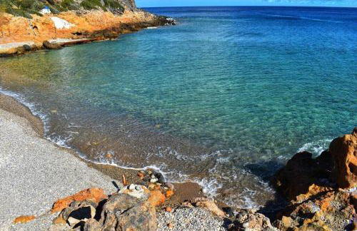 The Green Home - Foto 55