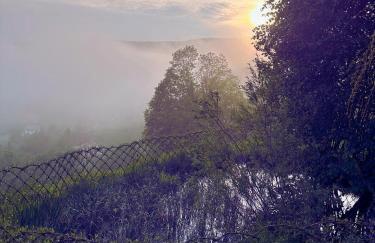 Home - Retour aux sources - Foto 17