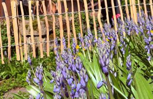 Azuria Schwarzwald Loft - Foto 39