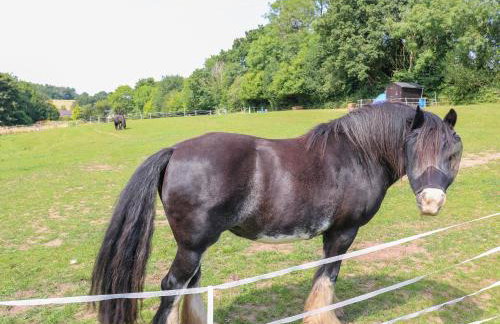 Swan Lodge - Photo 37