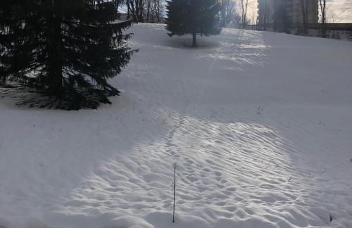 App 510 Panoramic Hohegeiß mit Fernblick - Foto 1