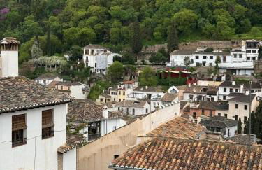 Spectacular Alhambra view roof terrace penthouse - Foto 7