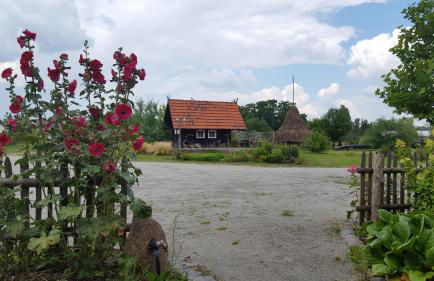 Spreewaldhaus zum Schoberplatz - Foto 43