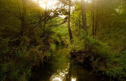 Deluxe Yurt Rental Ideal for Glamping near Austin - Foto 10