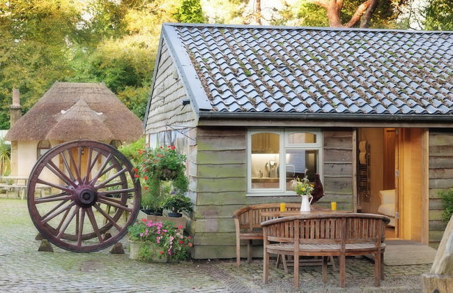 Pinetum Garden Cottages - Photo 68