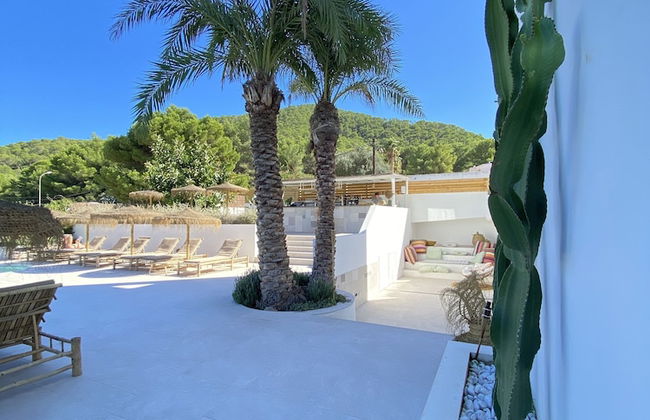 The Olive Boutique Suites and Spa - Foto 53