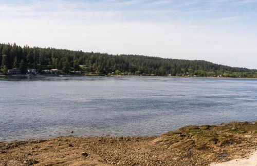 The Bald Seagle - Foto 8