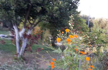 Level Houses - Foto 23