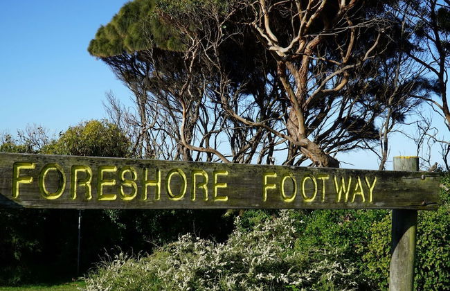 Cod Rock Point - Foto 22