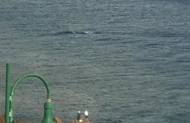 Ventur Flat - Foto 40