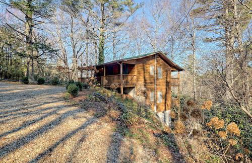 The Spotted Owl - Foto 23