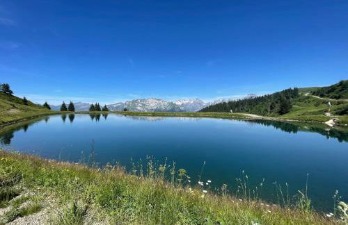 Samoëns 1600 studio au pied des pistes - Photo 1