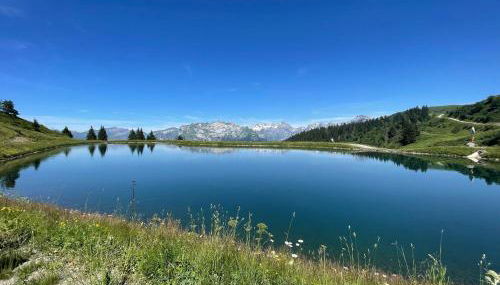 Samoëns 1600 studio au pied des pistes - Photo 1