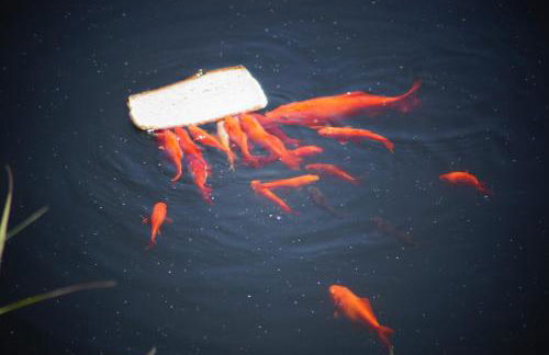 TOTAL SEA VIEW ll Grimaldi Menton - Foto 75