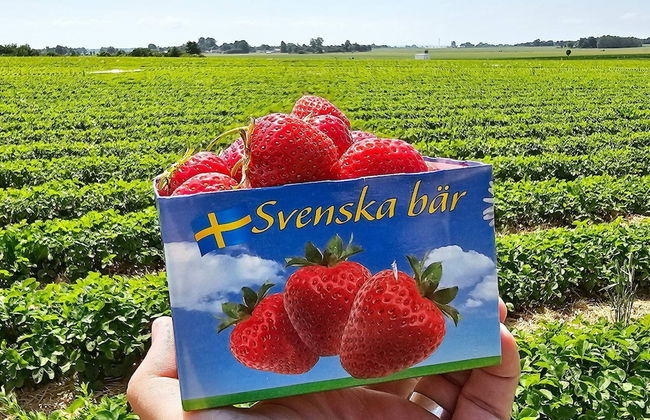 4 Star Holiday Home in Ahus-by Traum - Foto 13